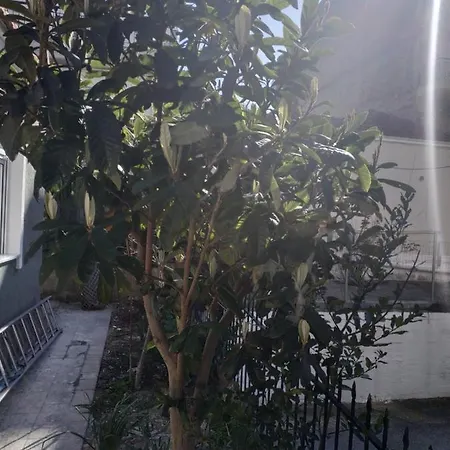 Agelikis' Apartment Nea Kallikrateia